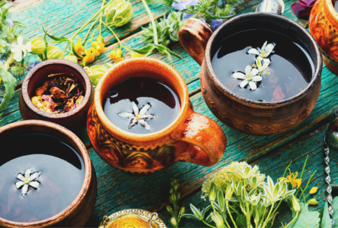 herbal teas for sinusitis
