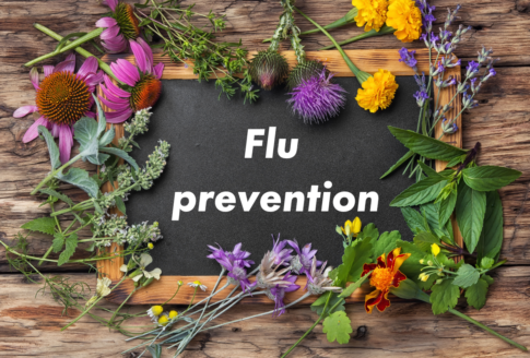 flowers & herbs around blackboard that writes flu prevention