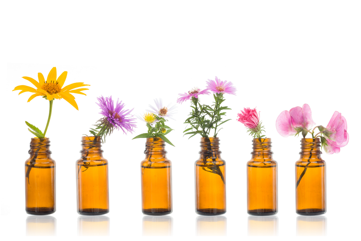 Bach Flowers Remedies The key to emotional wellbeing