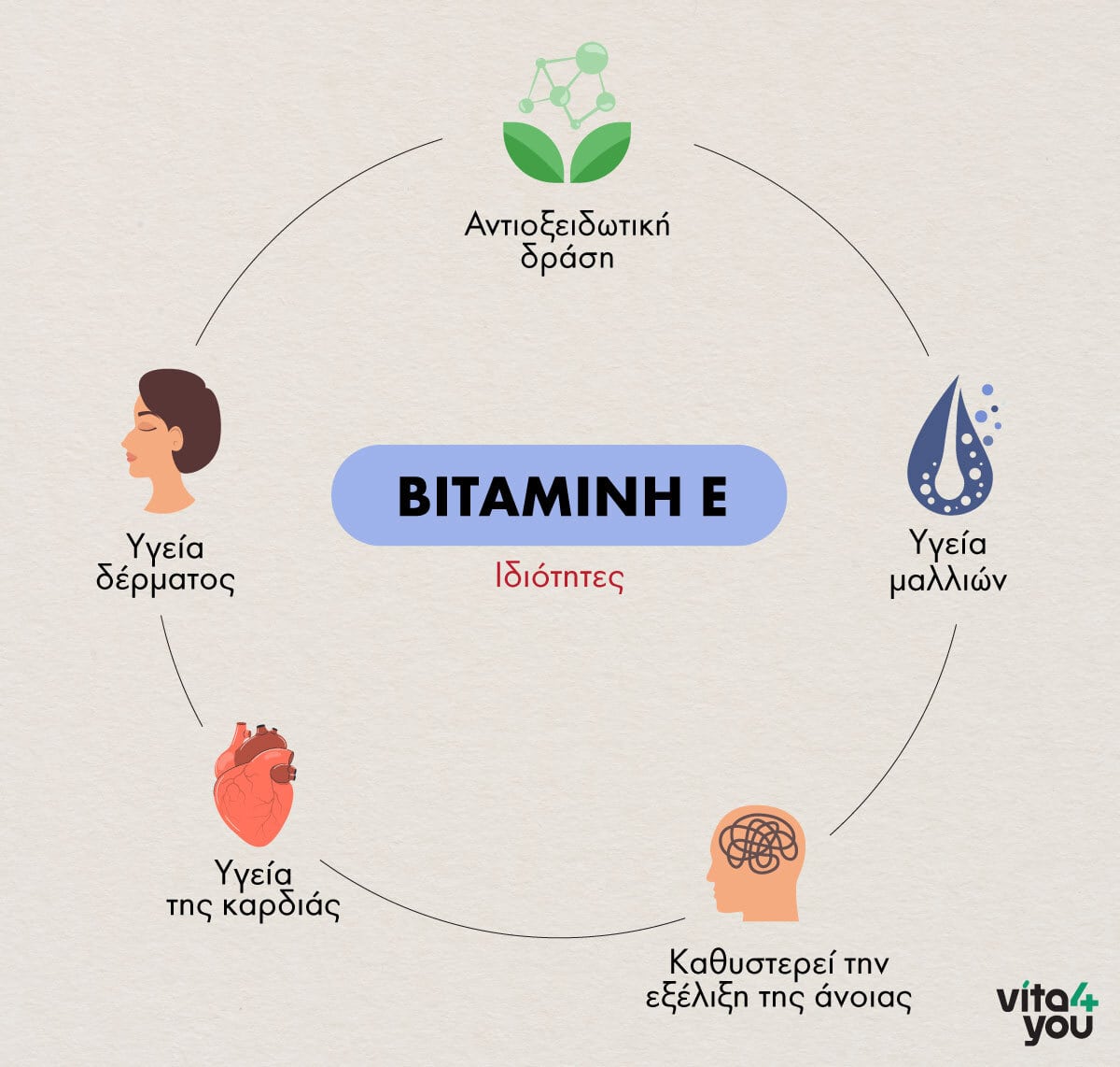 infographic με ιδιότητες της βιταμίνης Ε