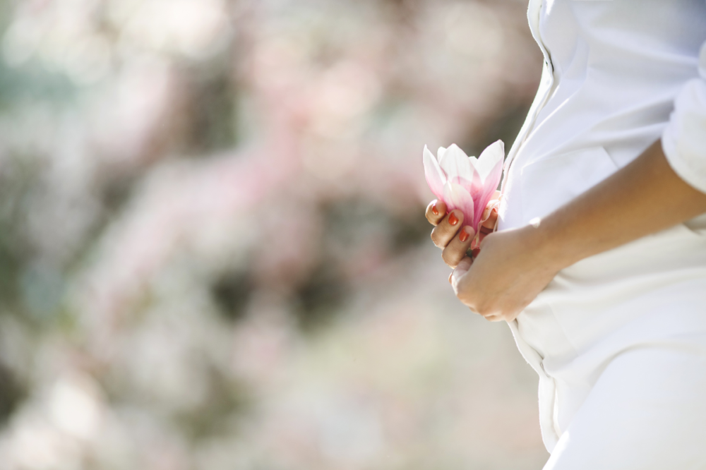 έγκυος κρατά ροζ λουλούδι μπροστά από την κοιλιά της