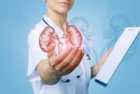 γυναίκα γιατρός κρατά νοερά σχήμα νεφρών