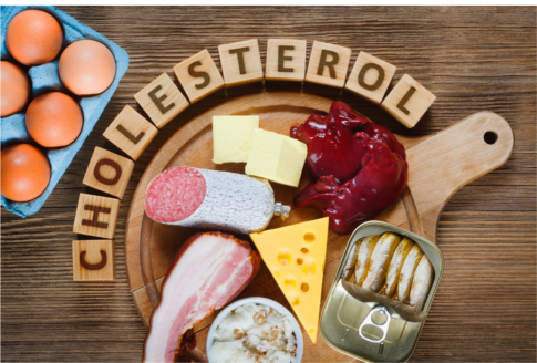 foods which increase cholesterol